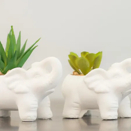 Sea Pearl Luxury By The Croisette And The *